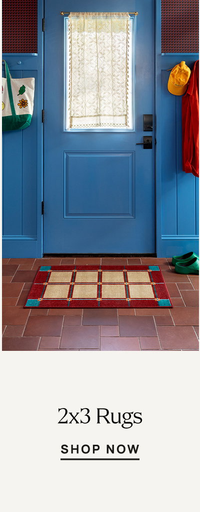 2 x 3 Rugs | Shop Now 