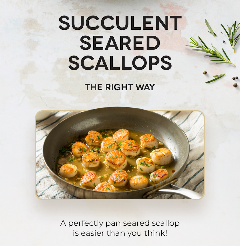SUCCULENT SEARED SCALLOPS The Right Way