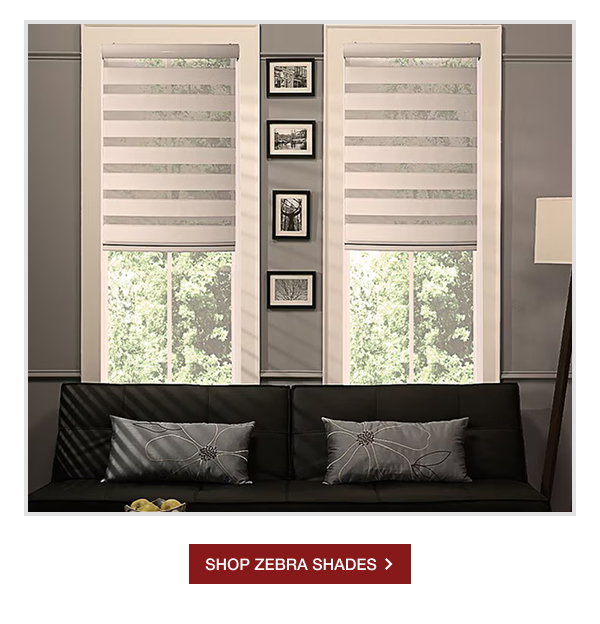 SHOP ZEBRA SHADES >