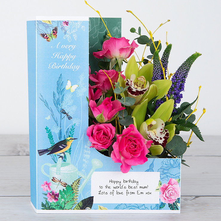 Image of Tropical Birthday