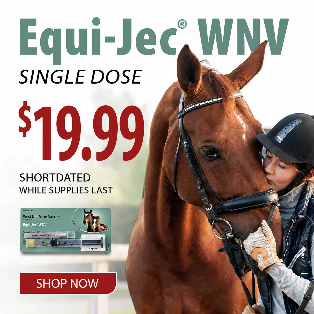 SHOP EQUI-JEC