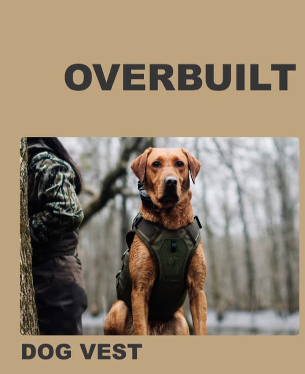 Dog Vest