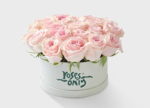 Image of 24 Pink Roses in a Hat Box (ROA36-024)
