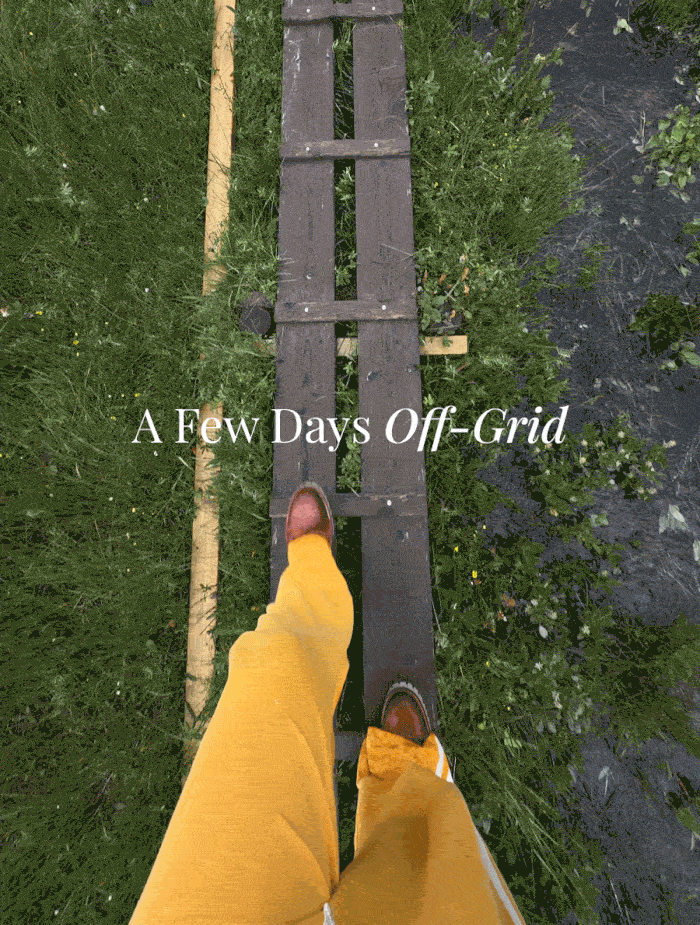 EXPLORE THE EDIT