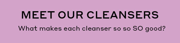 MEET OUR CLEANSERS. WHAT MAKES EACH CLEANSER SO SO SO GOOD?