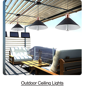 Outdoor Ceiling Lights