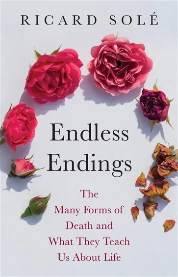 Endless Endings, by Ricard Solé