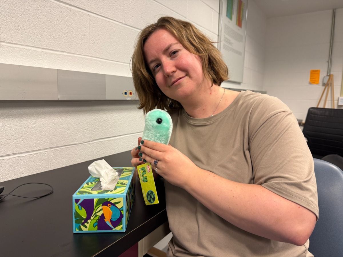 Flu plush with tissues