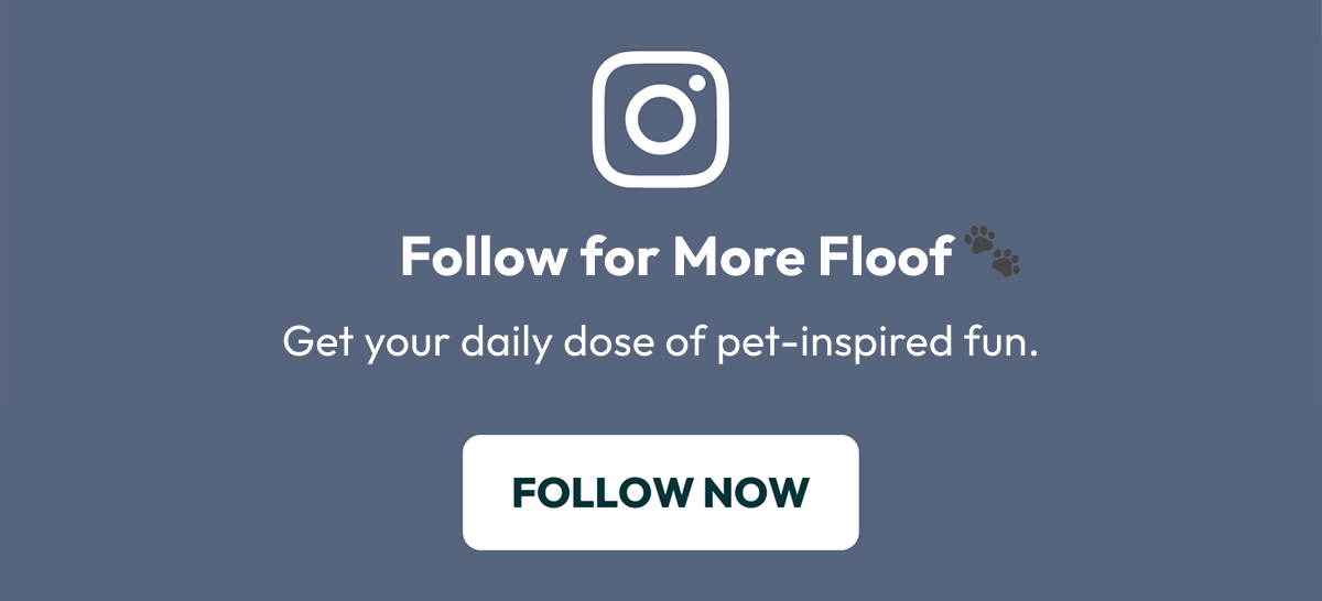 Follow for More Floof 🐾 | Get your daily dose of pet-inspired fun. | Follow Now