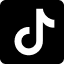 tiktok + 'Social Icon'
