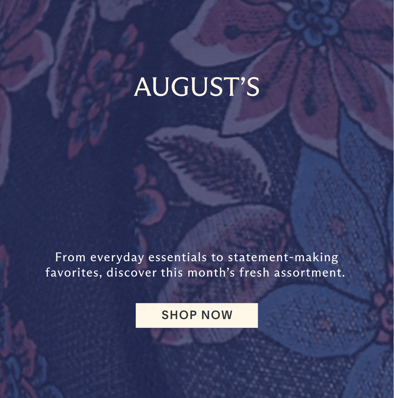 Shop Now