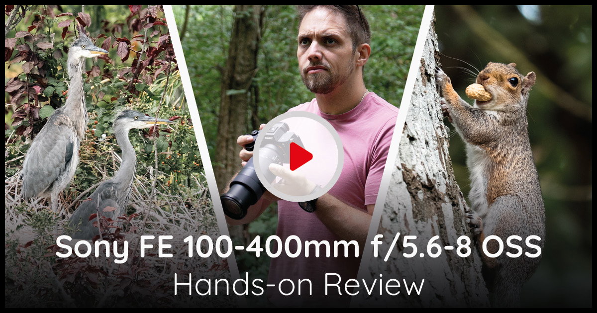 Sony FE 100-400mm Video Review