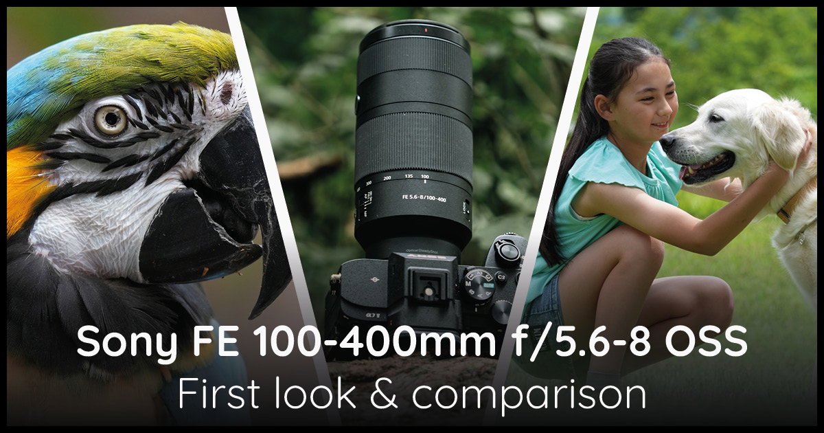 Sony FE 100-400mm Blog