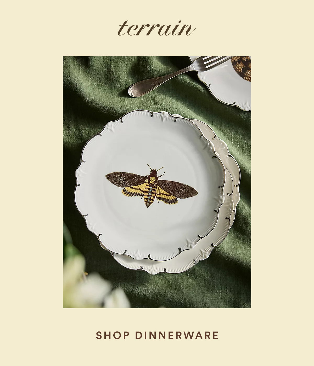 terrain, shop drinkware