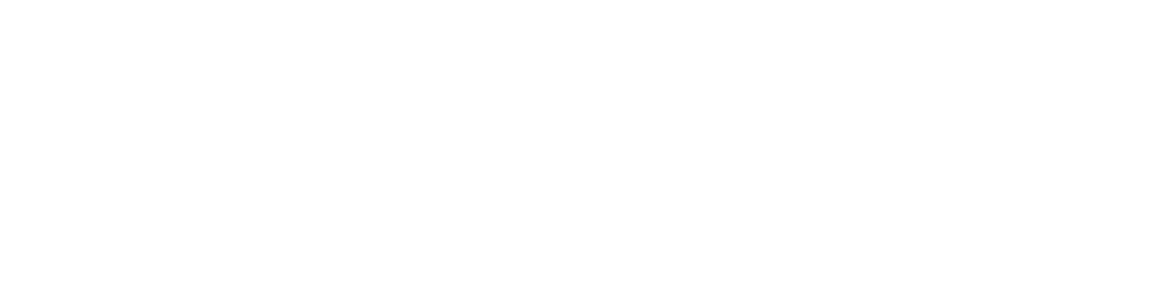 Expert logo