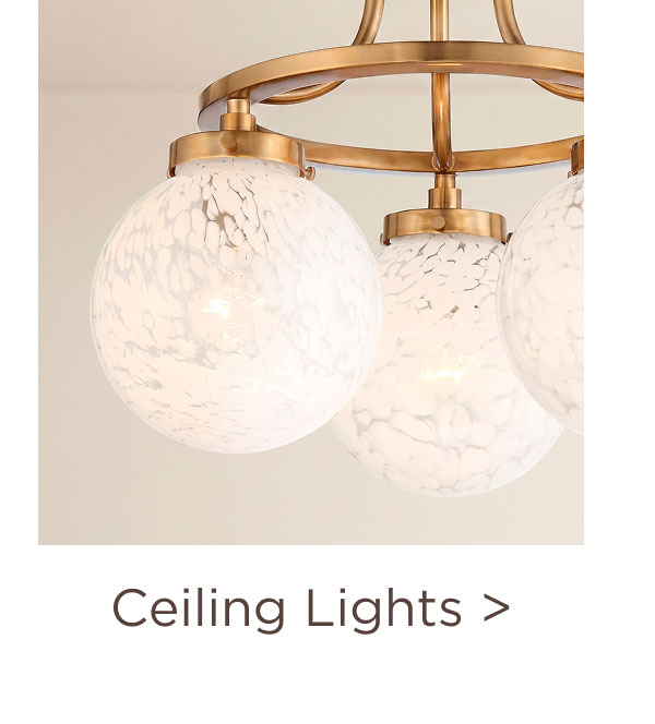 Ceiling LIghts >