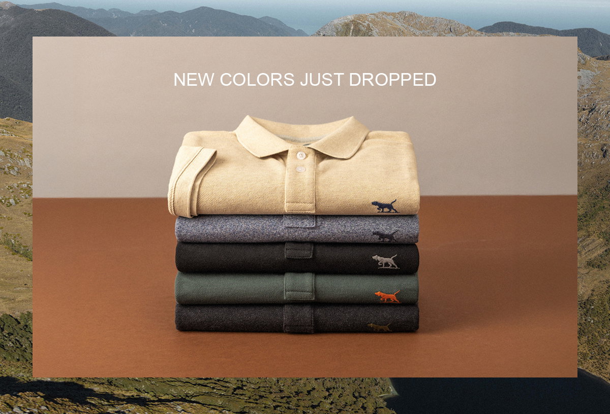 Shop Gunn Short Sleeve Polos online and instore at Rodd & Gunn