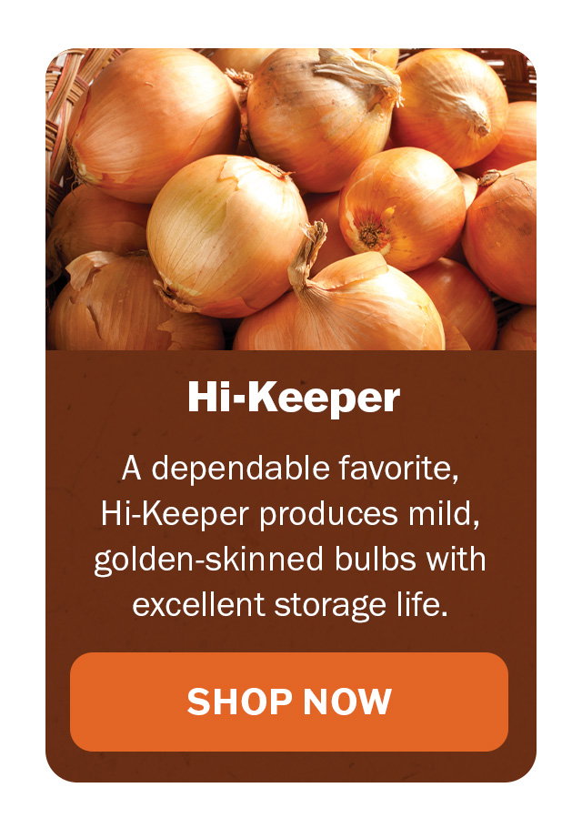 Hi-Keeper Onion