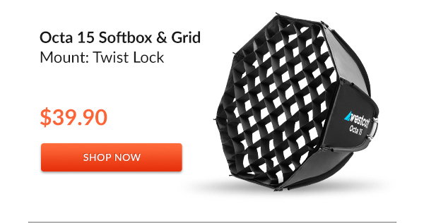 Octa 15 Softbox & Grid