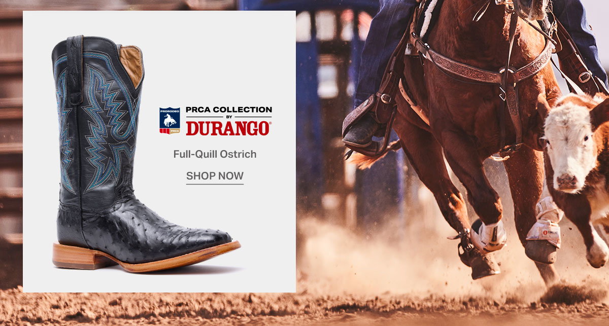 Shop DDB0469 Ostrich