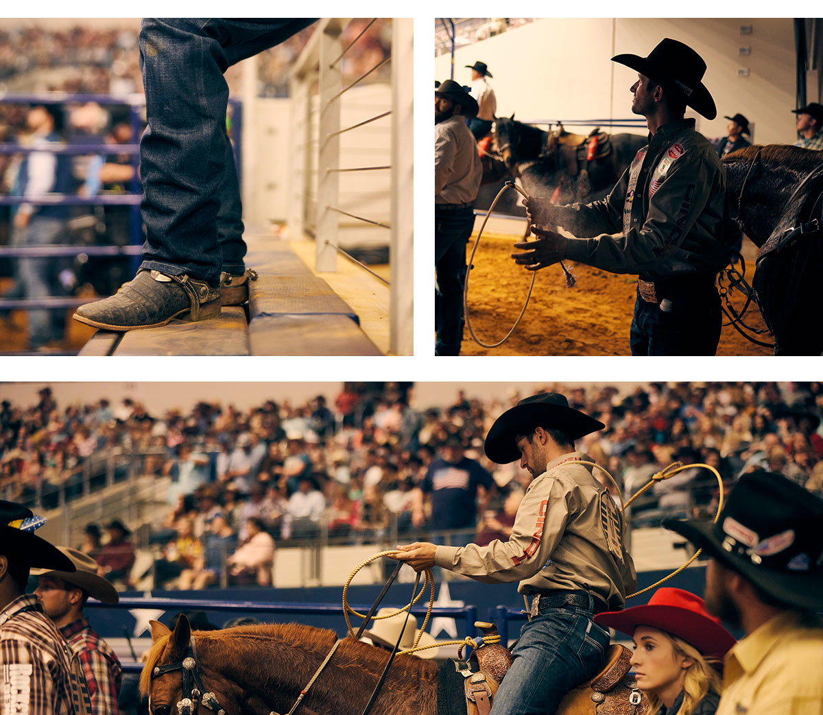 Shane Hanchey