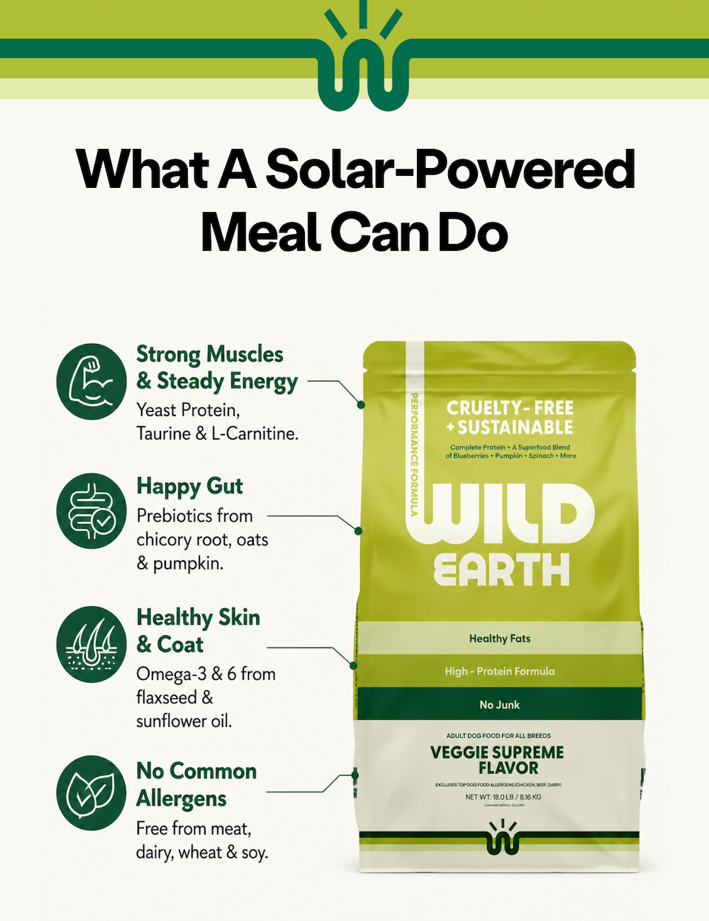 What a Solar-Powered Meal Can Do