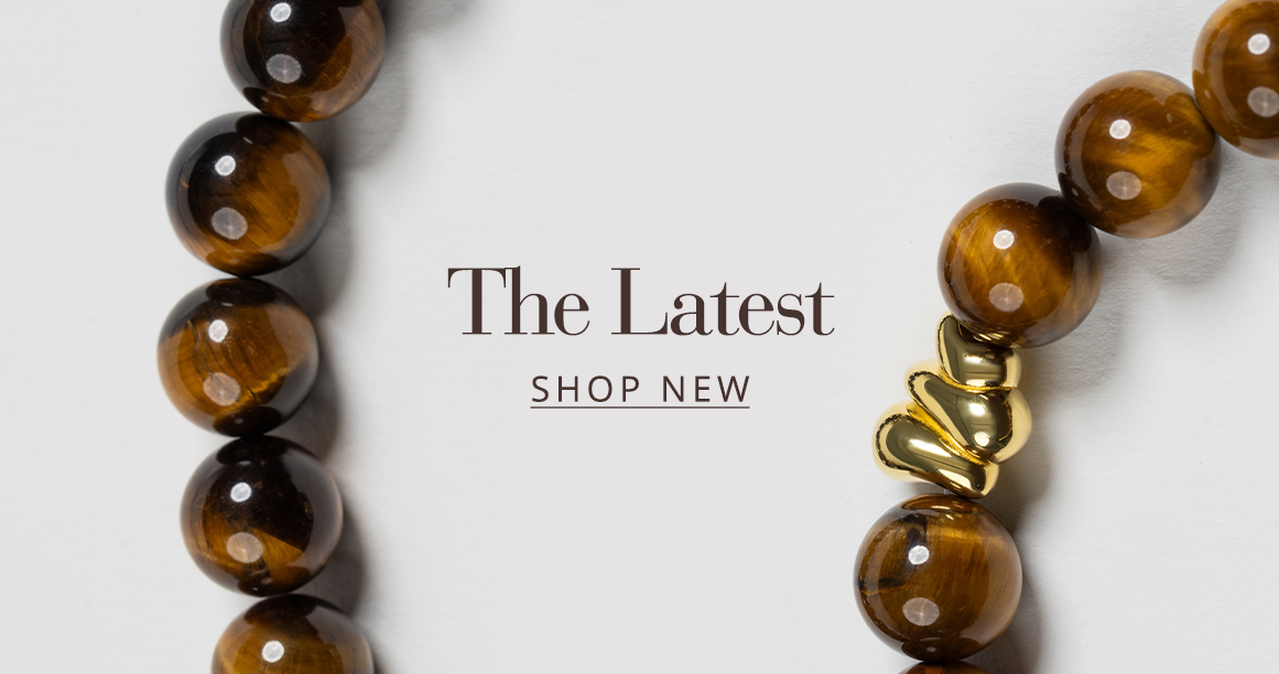 Discover The Latest 