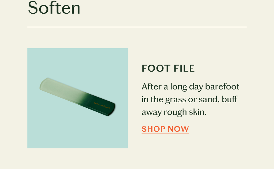 Shop Foot File