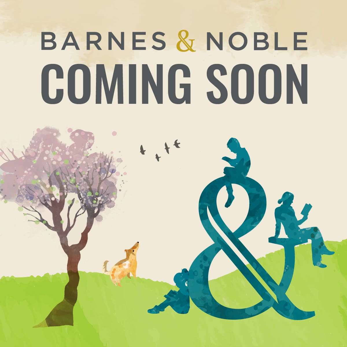 Barnes & Noble Coming Soon