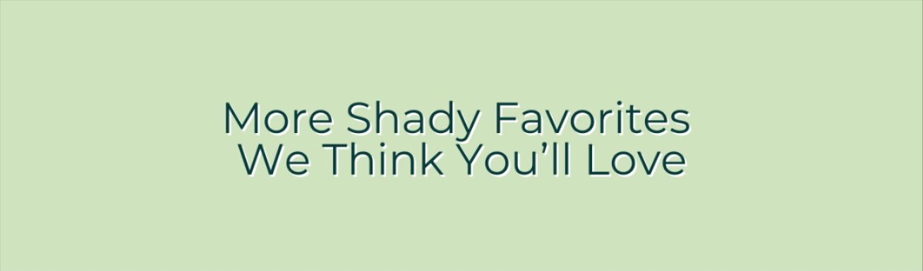 MORE SHADY FAVORITES