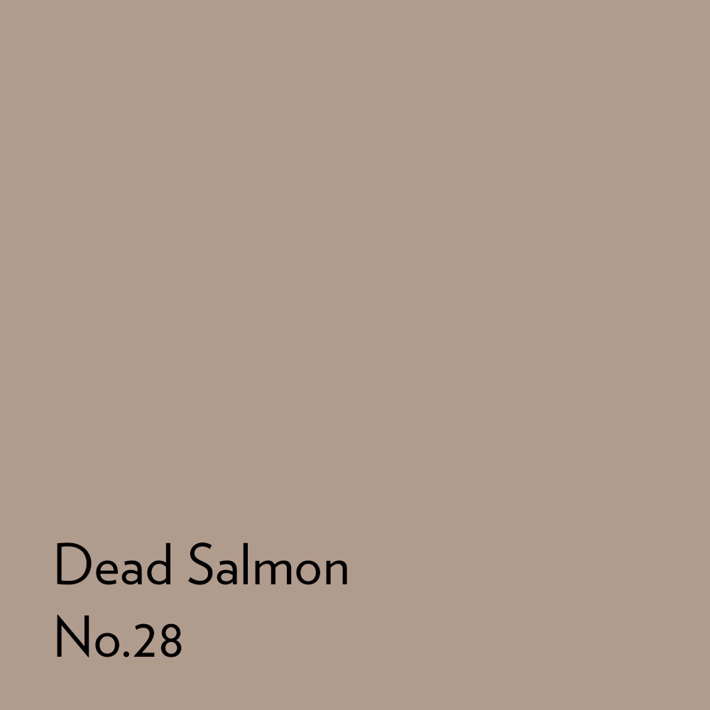 Square swatch of Dead Salmon