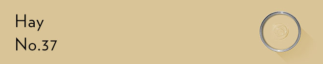 Rectangle banner of Hay