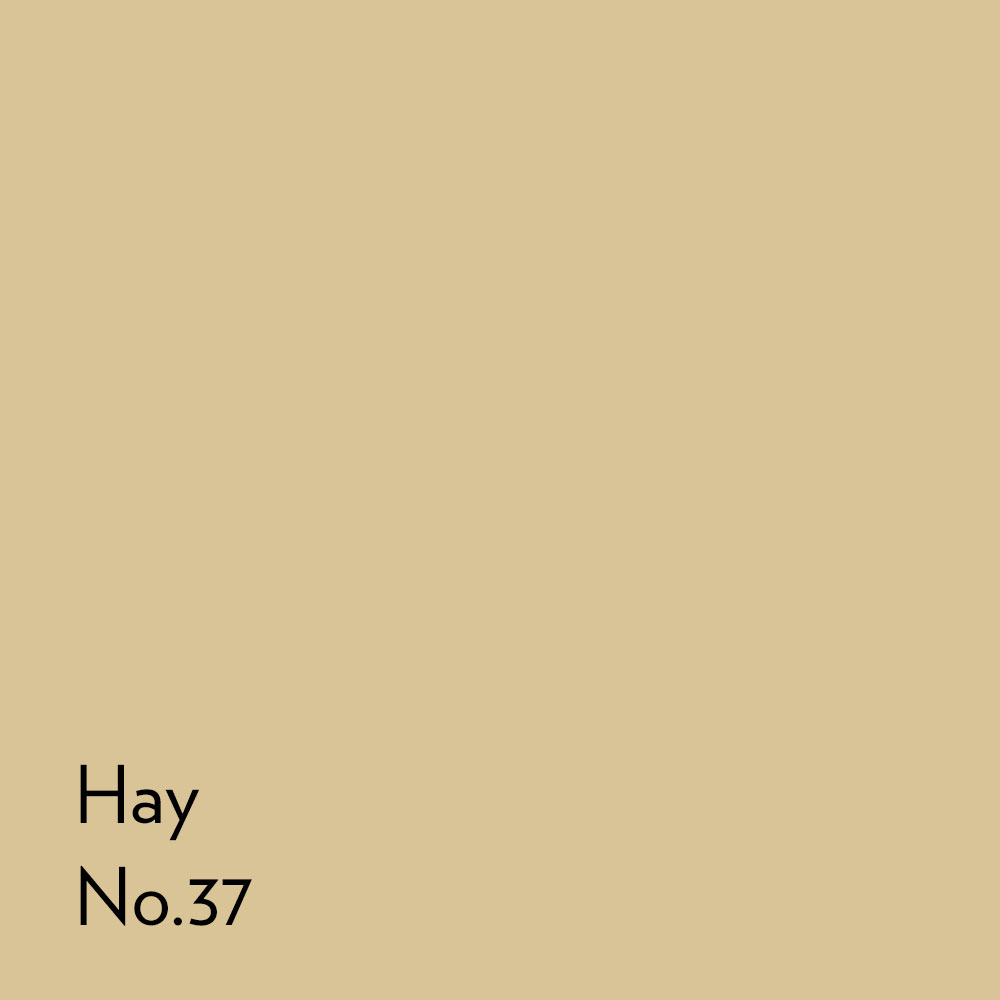 Square swatch of Hay