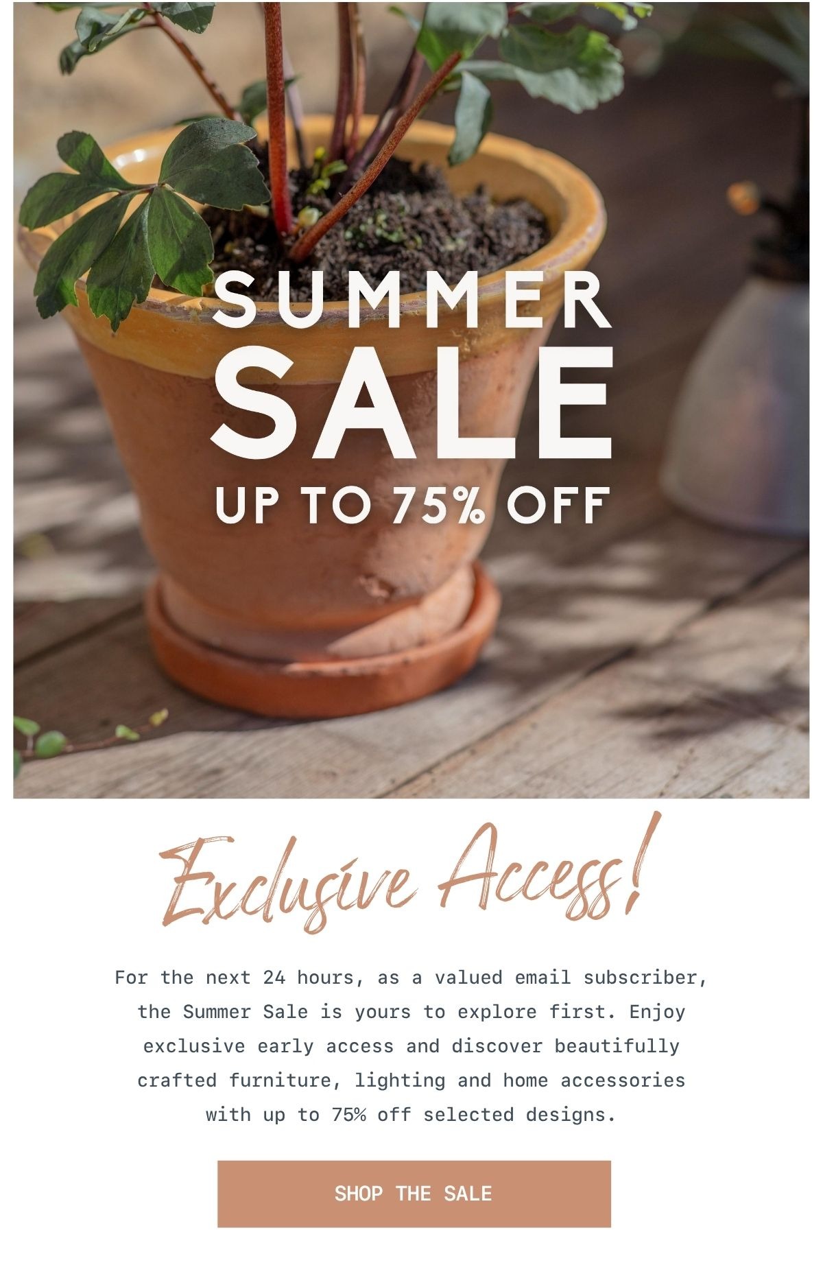 Exclusive 24 hours access to Summer Sale.