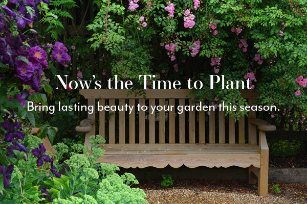 Now's the Time to Plant