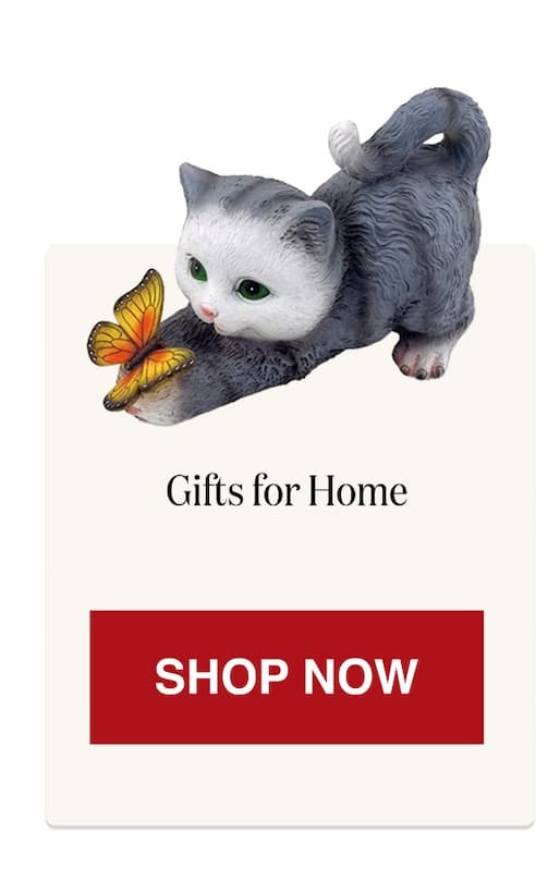 Gifts for Home [Click here to Shop Now]