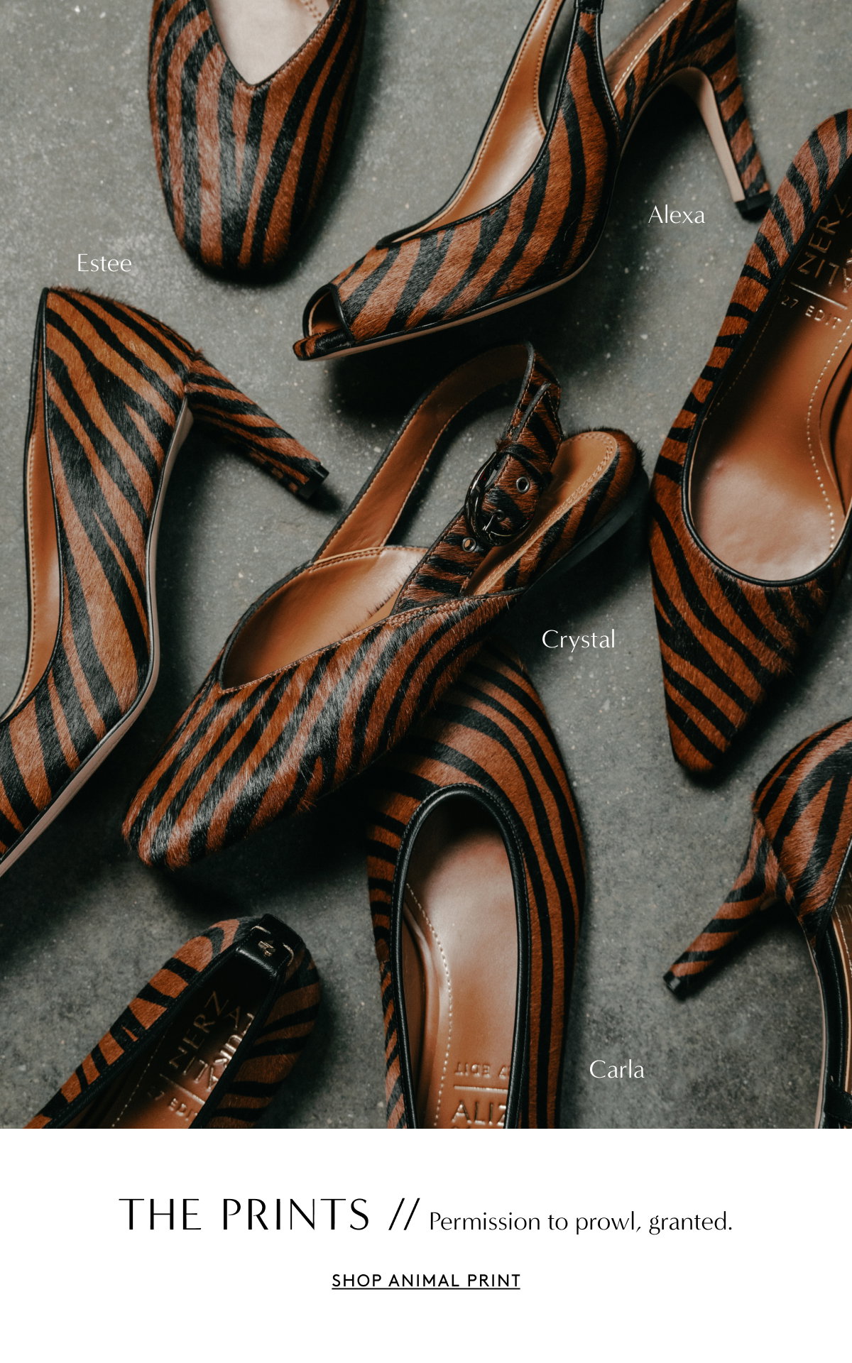Carla The Prints // Permission To Prowl, Granted. | Shop Animal Print
