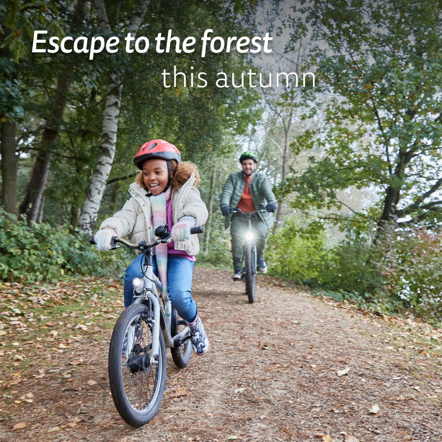 Escape to the forest this autumn
