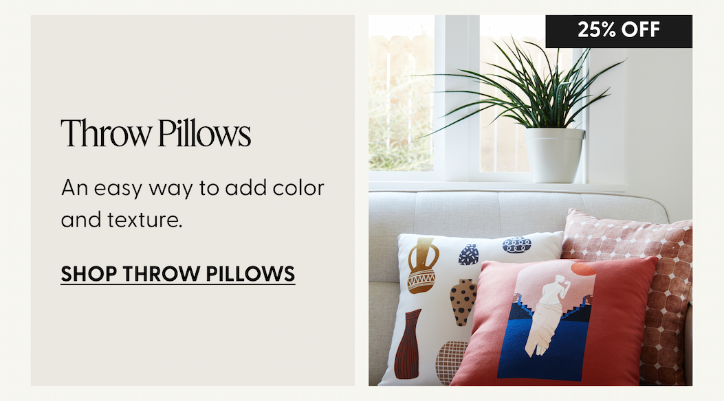 Shop Throw Pillows