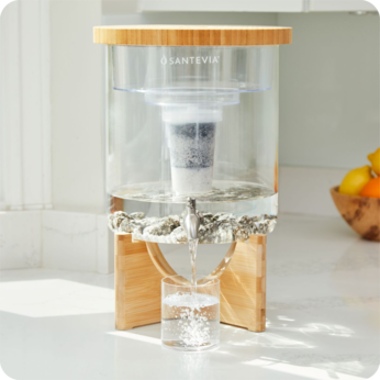 shower filter