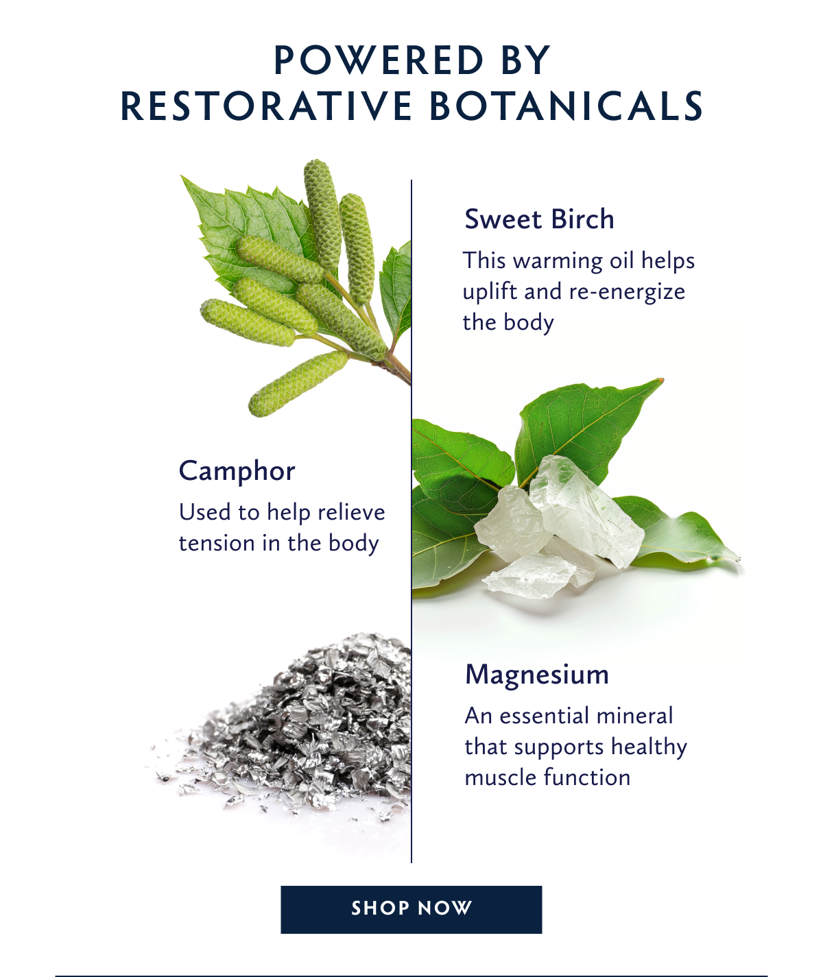 Sweet Birch & Camphor Rub Botanicals
