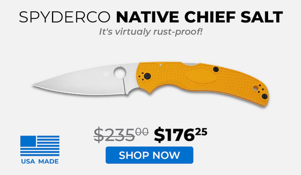Spyderco Native Chief Salt