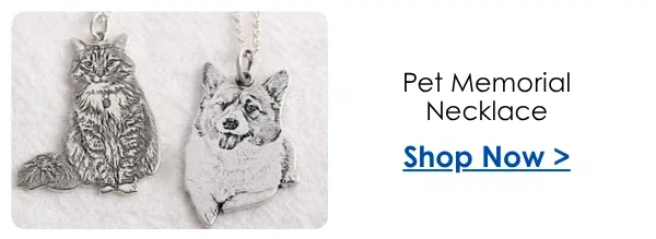 Pet Memorial Necklace
