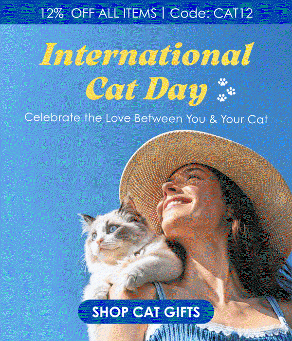 International Cat Day 🐾