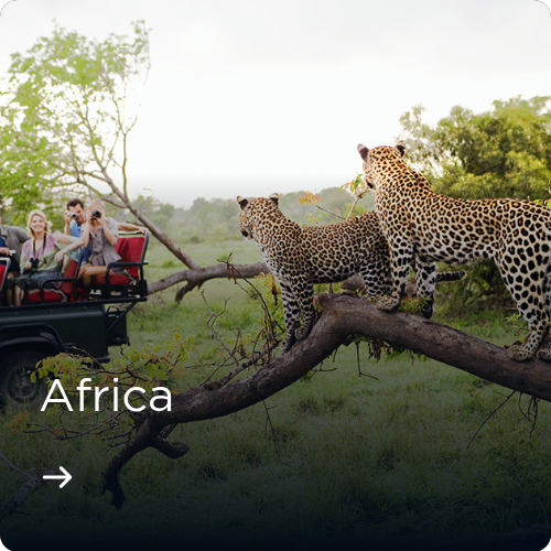 Africa