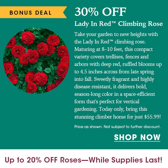 TODAY ONLY: Up to 20% OFF Roses + Free Shipping on $150+