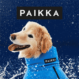PAIKKA Logo and Dog Wearing a blue PAIKKA raincoat