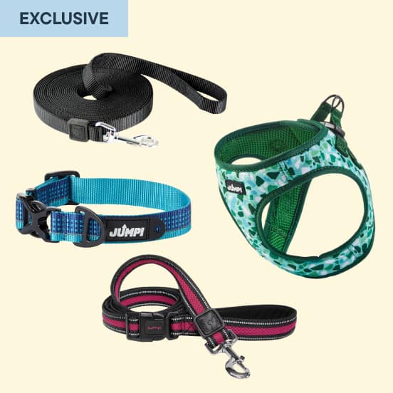 JUMP! Dog Collars, Harnesses and Leashes