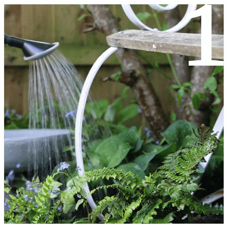 Shop irrigation 