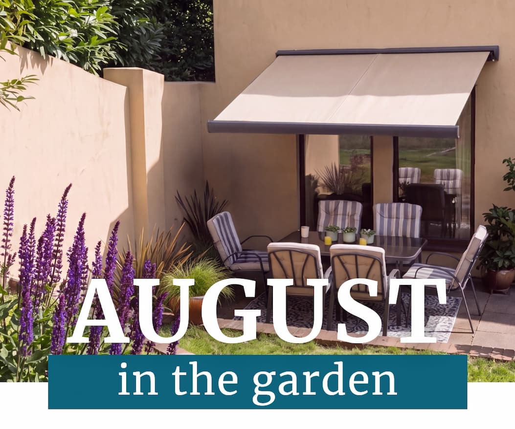 august in the garden